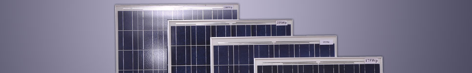 XL Energy Ltd., Solar Modules